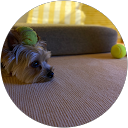 裕子 profile picture