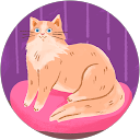 こずえ profile picture